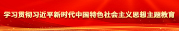 51caosaob学习贯彻习近平新时代中国特色社会主义思想主题教育